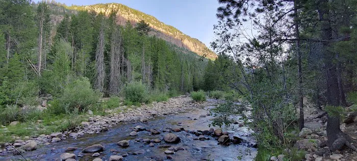 Mill Flat Camping Area Picture 7