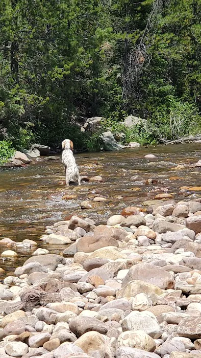 Mill Flat Camping Area Picture 5