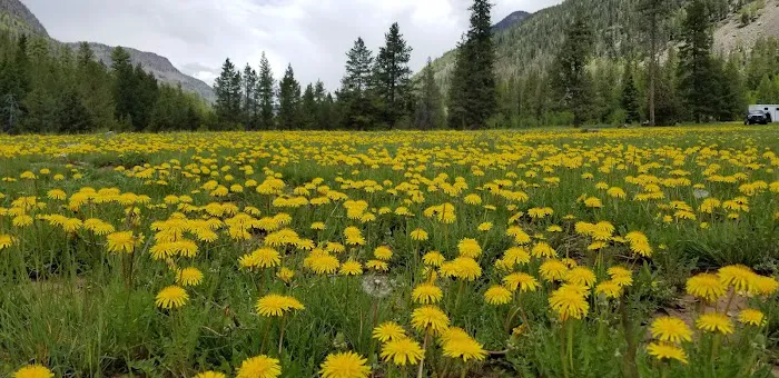 Iron Mine Campground Picture 1
