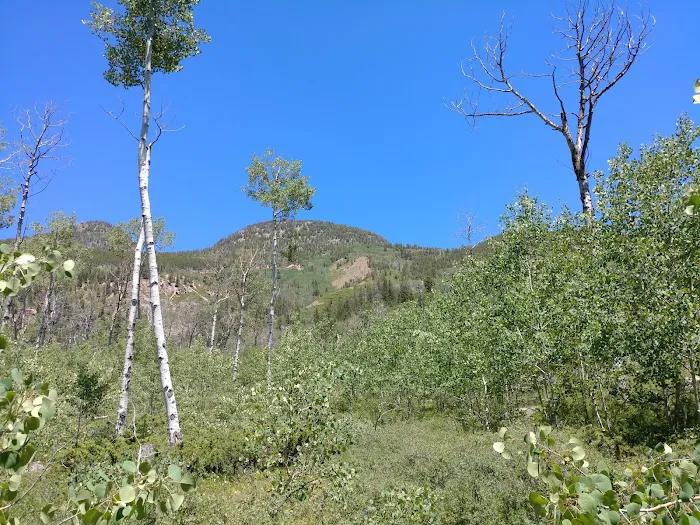 Iron Mine Campground Picture 5