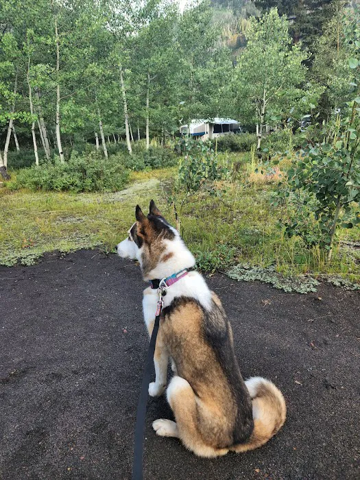 Iron Mine Campground Picture 10