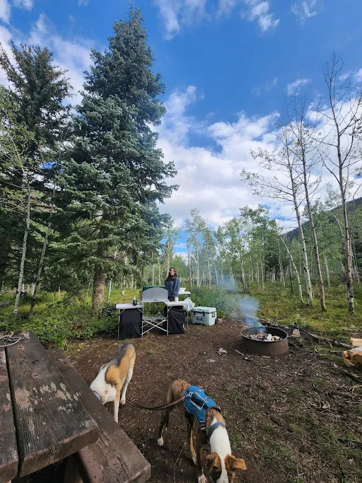 Iron Mine Campground Picture 9