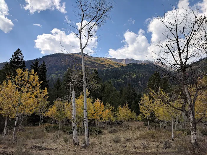 Iron Mine Campground Picture 4