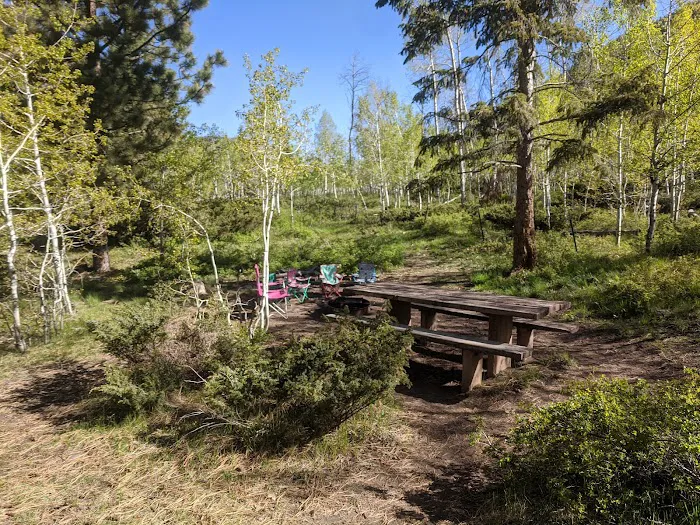 Iron Mine Campground Picture 8