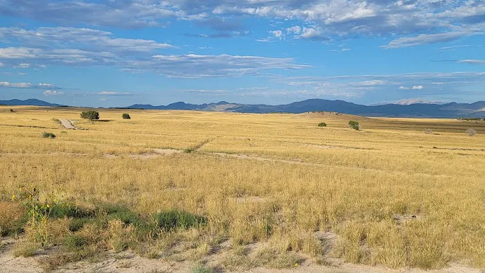 firebirds campground Picture 2