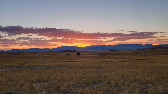 firebirds campground Picture 6