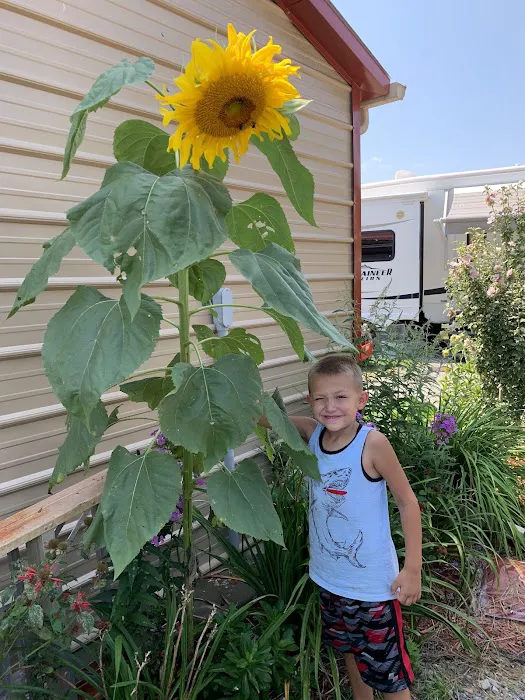 Campfire Ridge RV Park Picture 3