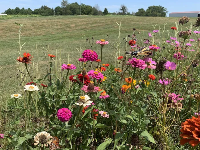 Campfire Ridge RV Park Picture 7