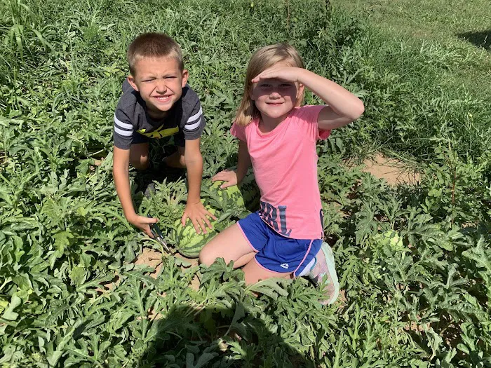 Campfire Ridge RV Park Picture 10