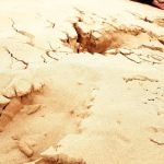 White Sands Campground