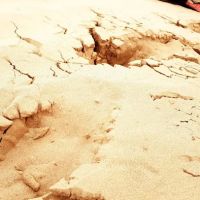 White Sands Campground ico