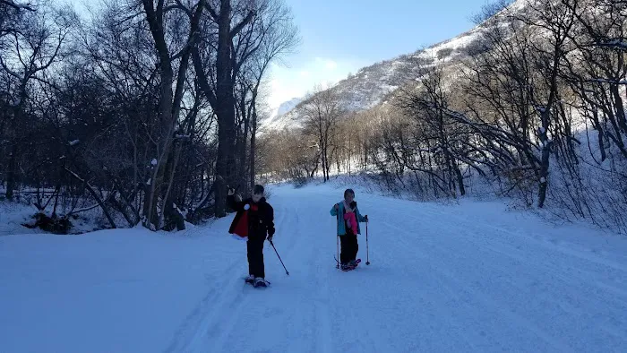 Cherry Campground Picture 1