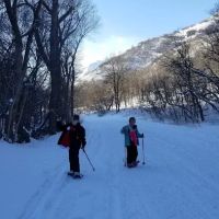 Cherry Campground ico