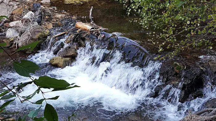 Cherry Campground Picture 5