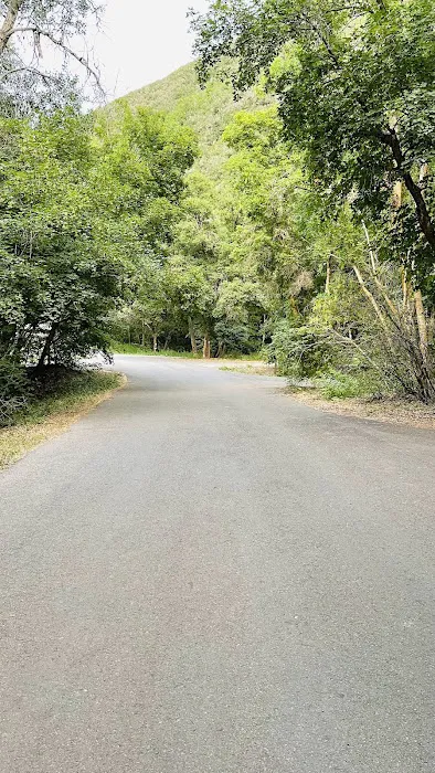 Cherry Campground Picture 7