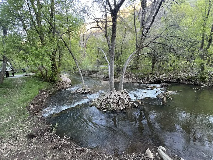 Cherry Campground Picture 6