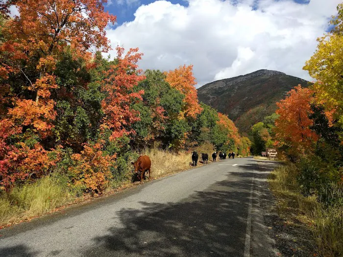 Cherry Campground Picture 4