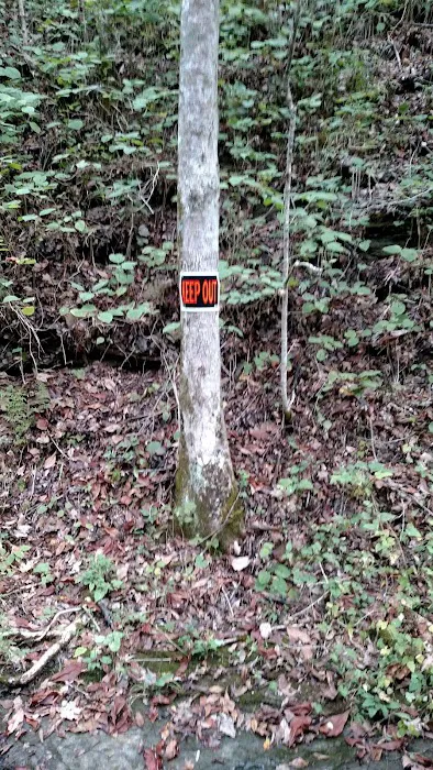 Windmill Mobile Home Center Picture 3