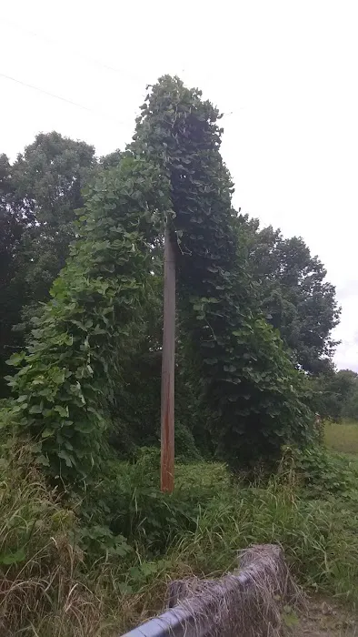 Windmill Mobile Home Center Picture 7