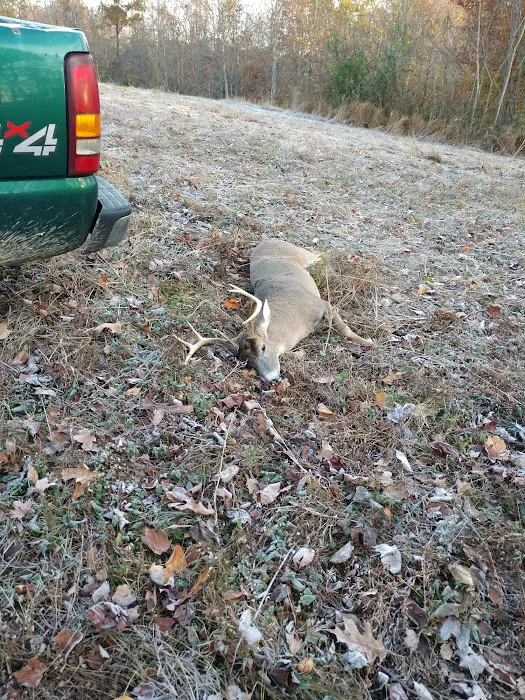 Windmill Mobile Home Center Picture 6