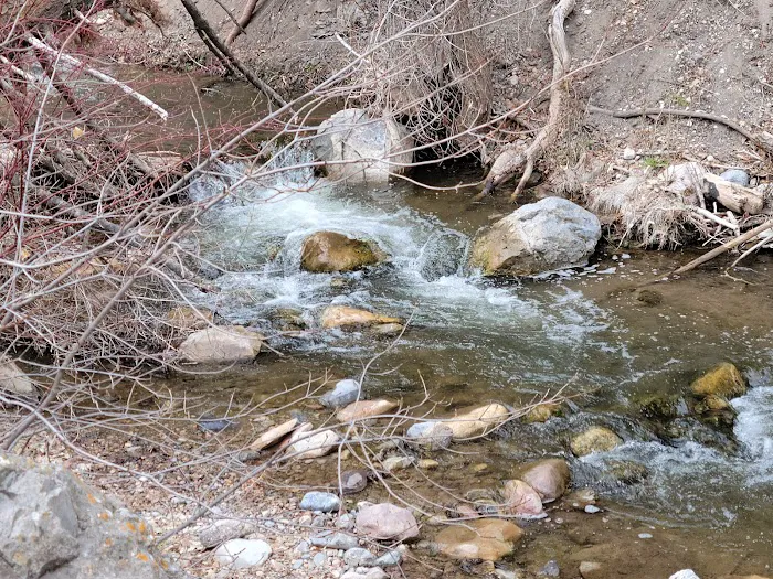 Maple Bench Campground Picture 6