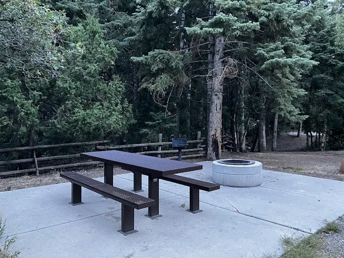 Maple Bench Campground Picture 3