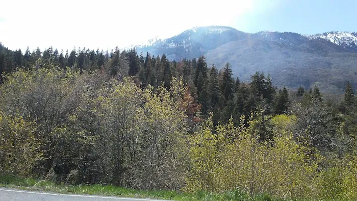 Maple Bench Campground Picture 2