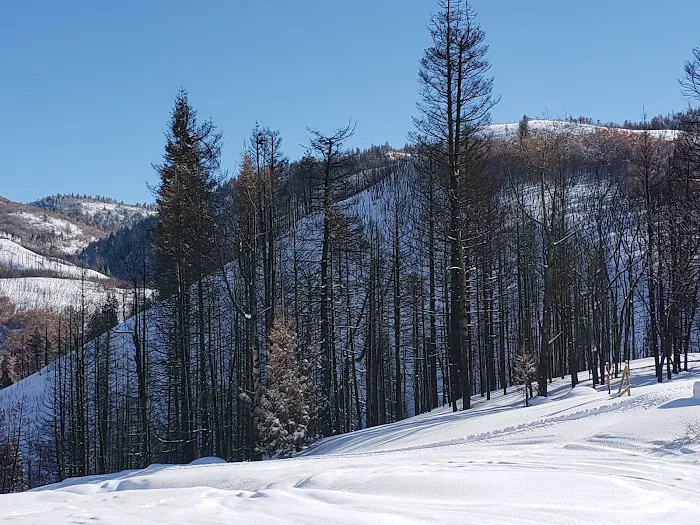 Maple Bench Campground Picture 4