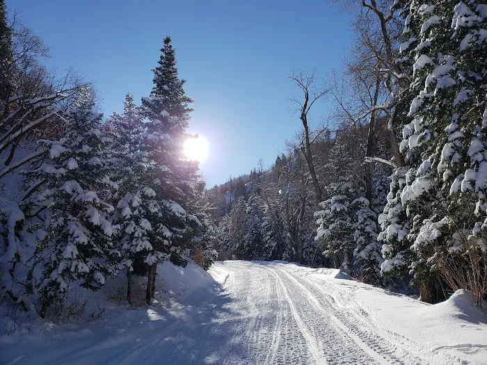 Maple Bench Campground Picture 10