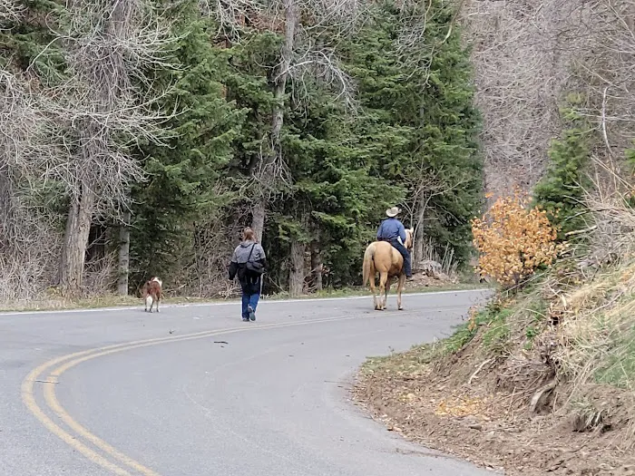 Maple Bench Campground Picture 9