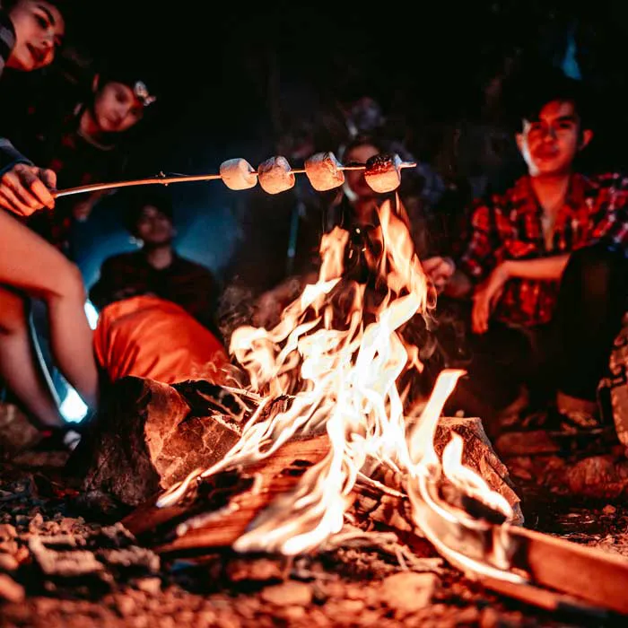 Fred's RV Campsites Picture 7