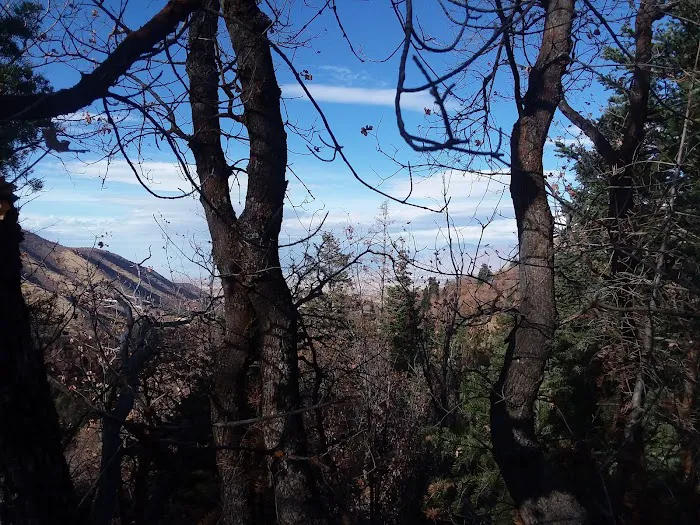 Maple Lake Campground Picture 4