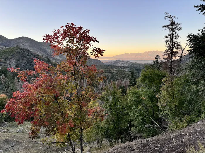 Maple Lake Campground Picture 9