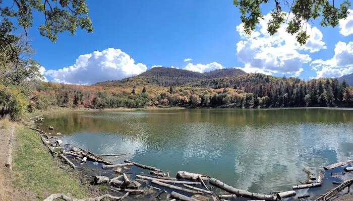 Maple Lake Campground Picture 3