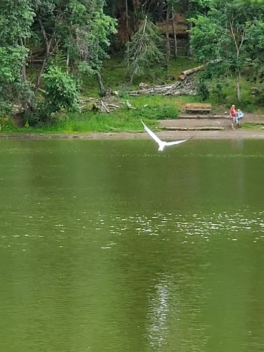 Maple Lake Campground Picture 8