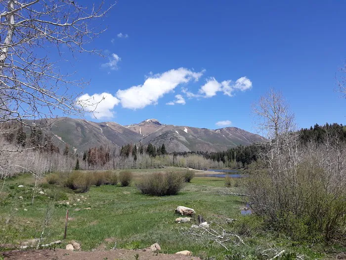 Payson Lakes Group Campsite C Picture 4