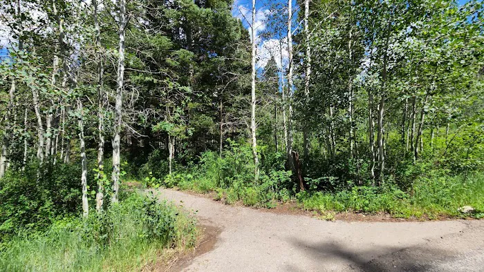 Payson Lakes Group Campsite C Picture 2