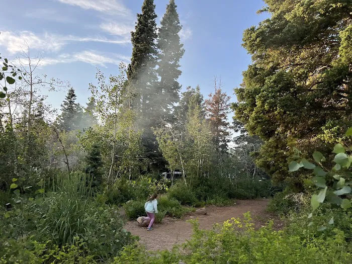 Payson Lakes Campground Picture 1