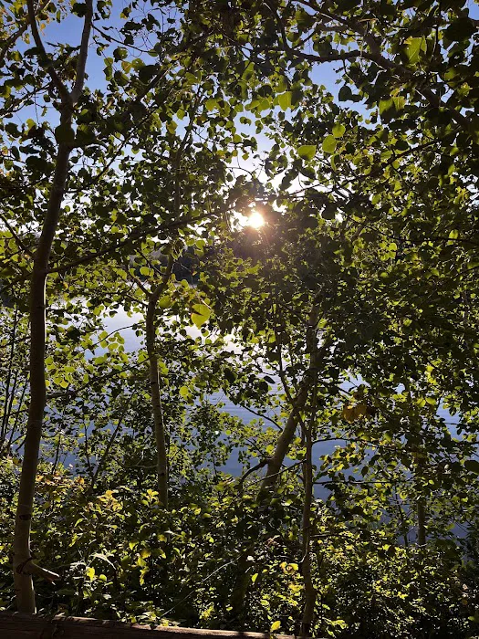 Payson Lakes Campground Picture 2