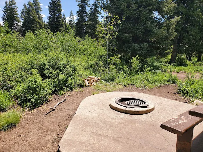 Payson Lakes Campground Picture 7