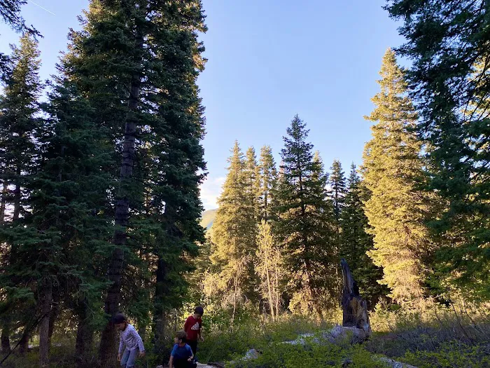 Payson Lakes Campground Picture 5