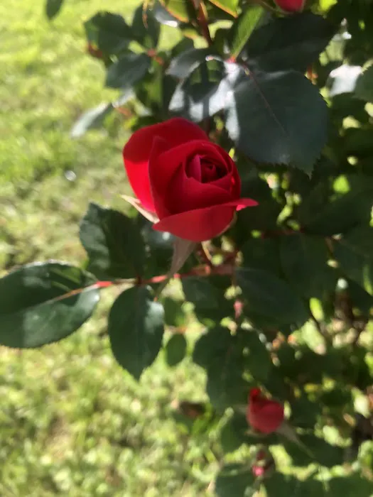 A & L Mobile Home Village Picture 1