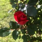 A & L Mobile Home Village