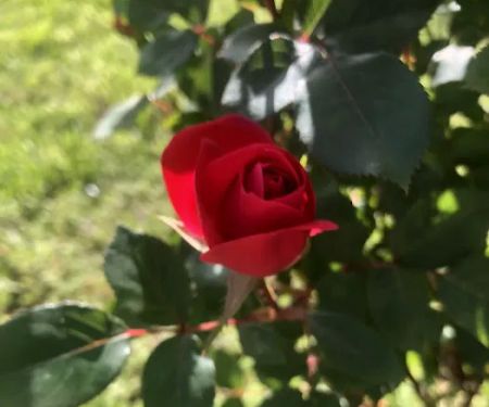 A & L Mobile Home Village