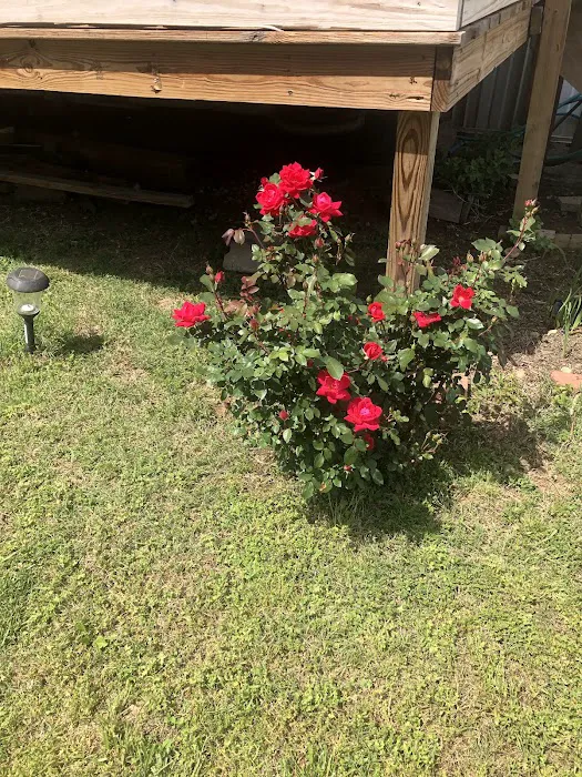 A & L Mobile Home Village Picture 5