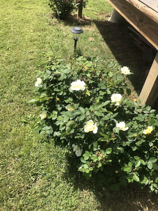 A & L Mobile Home Village Picture 8