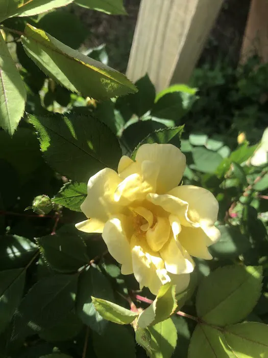 A & L Mobile Home Village Picture 2