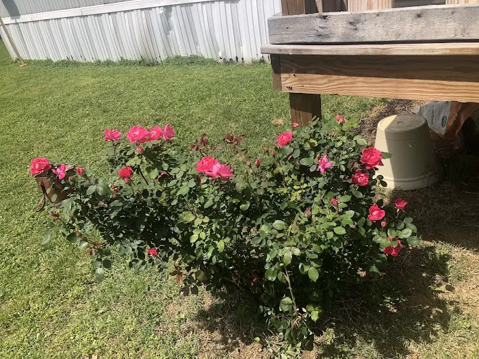 A & L Mobile Home Village Picture 6