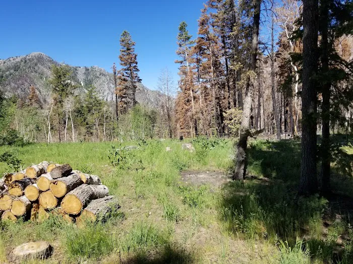 Camp Koholowo Picture 1