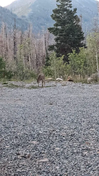 Camp Koholowo Picture 7